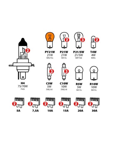 Kit lampade di ricambio 30 pz, alogena 2xH4 - 24V