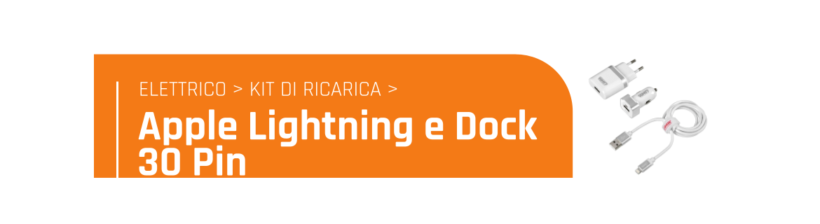 Apple Lightning e Dock 30 Pin
